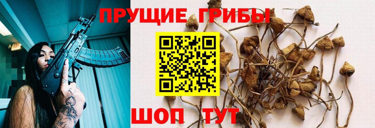 Галлюциногенные грибы Magic Shrooms Заволжье