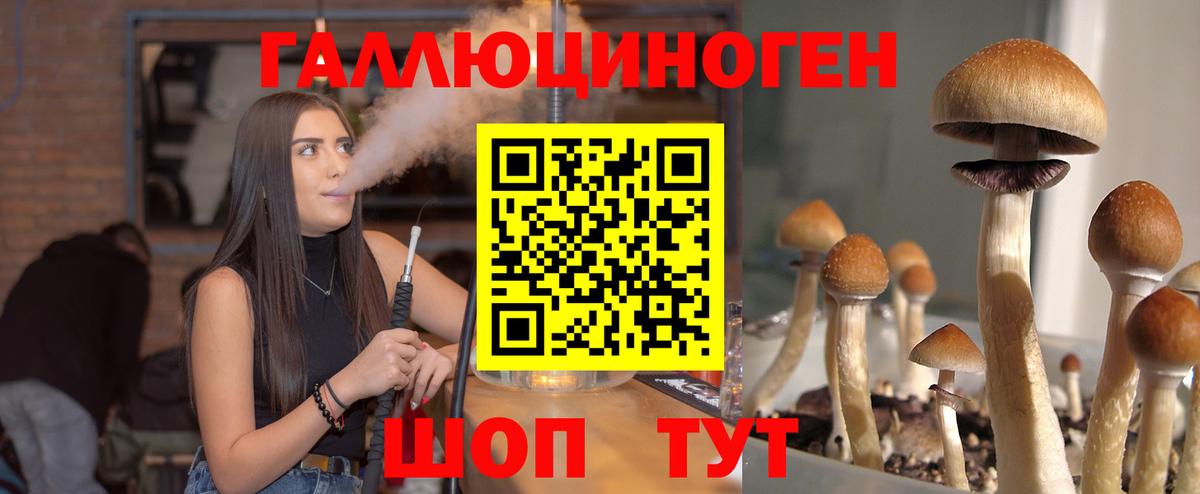 Заволжье  Псилоцибиновые грибы мухоморы  Псилоцибиновые грибы Psilocybine cubensis  Вход с VPN 